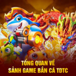 tong-quan-ve-cac-loai-ca-nen-va-khong-nen-san-trong-game-ban-ca